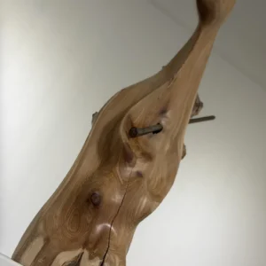 Impasse, Nate Cardonsky