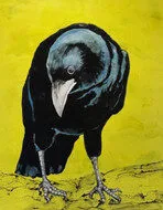 Good Morning, Gay Schempp