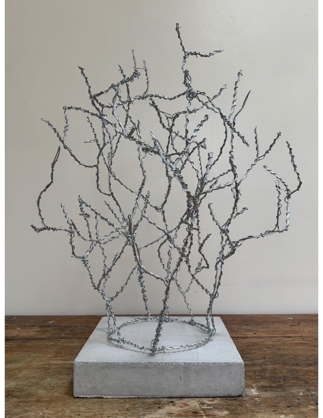 Circle of Trees, Cole Palatini