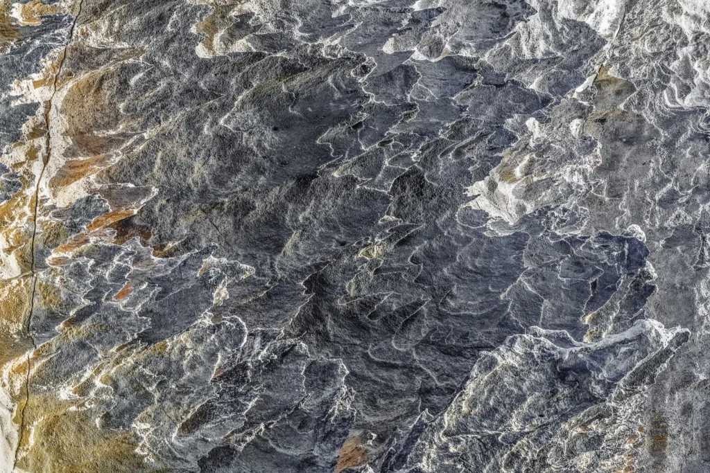 Galapagos-2023-79_DxO-Edit-Edit-Edit