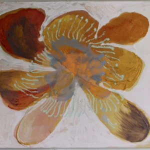 Nasturtium, Avery Fazio