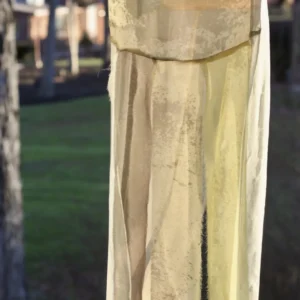 Windsock III, Avery Fazio