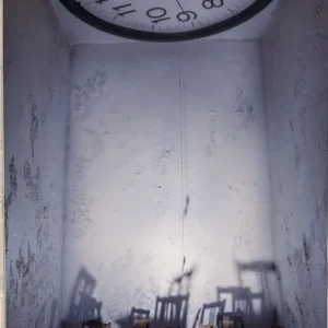 Alien Condition No.1, Yuming Griffin Liu