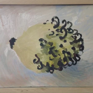 Magnolia, Avery Fazio