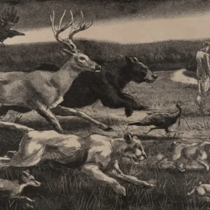 Drawing and Picture-Making with Scott Bricher (Mondays, 1:00 PM to 4:00 PM | March 23-May 11, 2026))