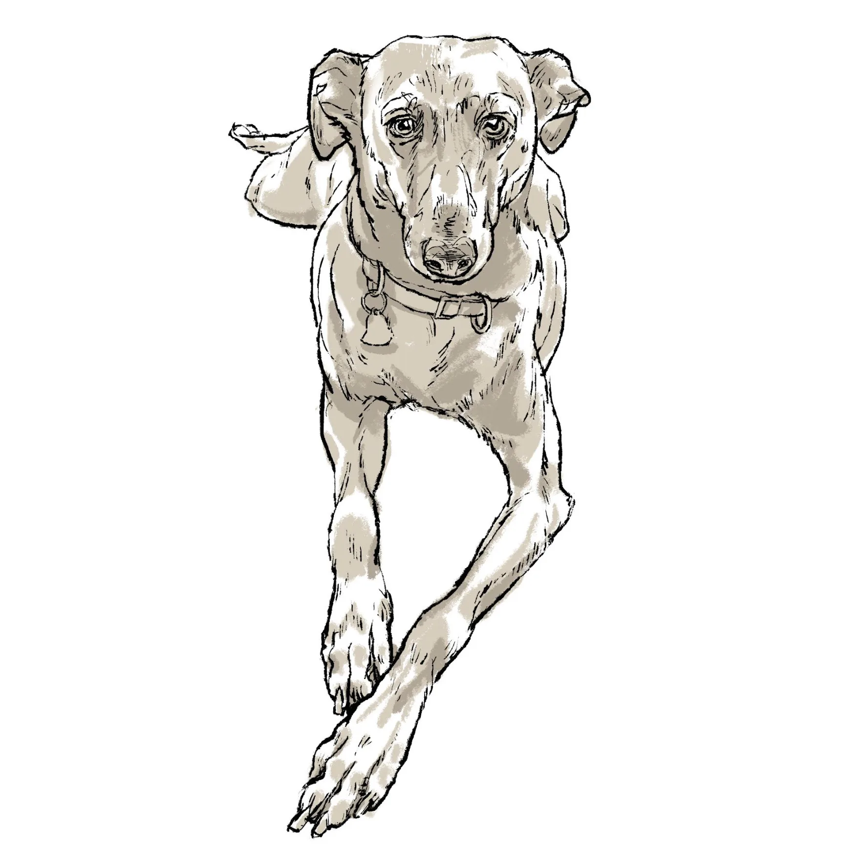 Drawing and Picture-Making with Scott Bricher (Mondays, 1:00 PM to 4:00 PM | June 1-July 20, 2026) - Image 3