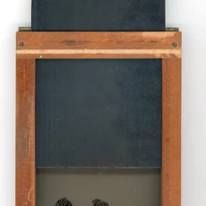 Family of Morels in vintage contact frame, Rachel Portesi