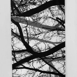 Tree Shadows, Amelia de Neergaard