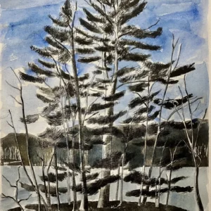 Monotype Printmaking Plus with Anthony Kirk (Fridays, 10:00 AM to 1:00 PM | May 29-July 17, 2026)