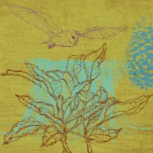 Drawing and Picture-Making with Scott Bricher (Mondays, 1:00 PM to 4:00 PM | June 1-July 20, 2026)