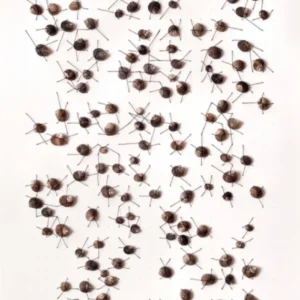 Tether, Amelia de Neergaard