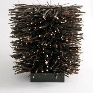 Column III, Amelia de Neergaard