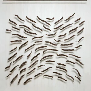 Current, Amelia de Neergaard