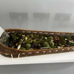 As You Are Now, Once Was I, by Rachel Portesi