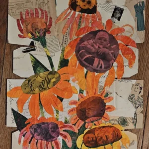 Botanicals, Packaging and Photos - Oh My! Two-Day Collage on Packaging Workshop with Virginia Zimmermann (Wednesday, July 15 - Thursday, July 16 | 1:00 PM - 4:00 PM)