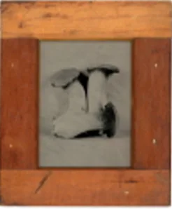 Trumpet Mushrooms No. 1, Rachel Portesi