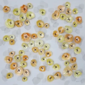 Anomia, Amelia de Neergaard