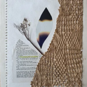 Indignant, Deana Tierney May
