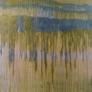 Long Rain, Lisa Brody
