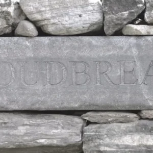 Cloudbreak Sculpture Park Visit - Tuesday, June 2 | 10:00 AM to 12:00 PM)