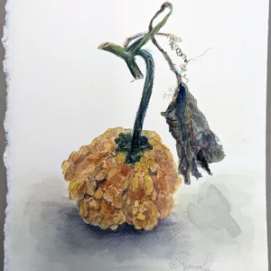 Autumn Watercolors with ShawnaLee Kwashnak (Mon, 1:00 to 4:00 PM | Sep 14-Nov 2, 2026)