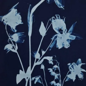 Cyanotypes – Harnessing the Power of the Sun Workshop with Virginia Zimmermann (Thurs, Aug 27 to Fri, Aug 28 | 11:00 AM - 1:00 PM)