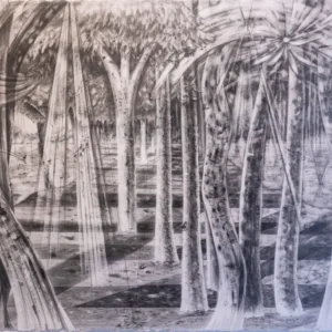 Isle of Trees and Shadows, Alyssa Fanning