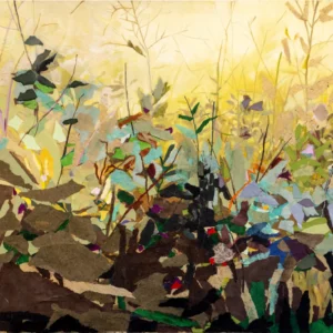 Great Swamp in Summer, Pat Brentano