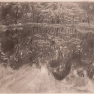 Reflection, Ron Milewicz