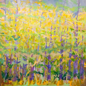 Top Light, Ira Barkoff