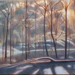 Crepuscule, Ron Milewicz