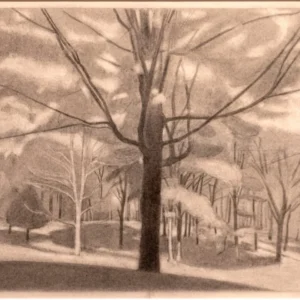 Sugar Maple 2, Ron Milewicz