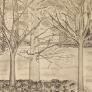 Untitled (Tree), Jessica Elzea Kogel
