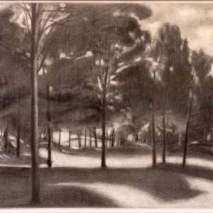 Meadow View, Ron Milewicz