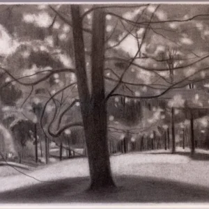 Spring Maple, Ron Milewicz