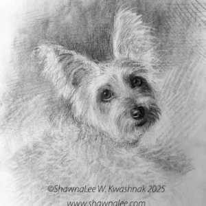 Capturing Your Companion - The Art of Pet Portraiture with ShawnaLee W. Kwashnak (Saturdays, Oct 17 and 24 | 1:00 to 4:00 PM)