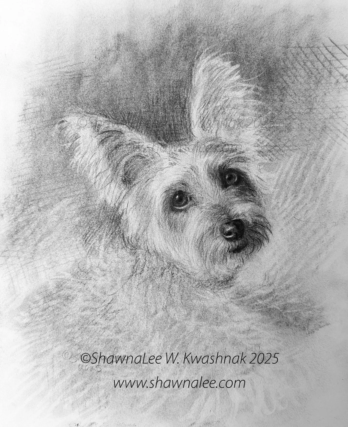 Capturing Your Companion - The Art of Pet Portraiture with ShawnaLee W. Kwashnak (Saturdays, Oct 17 and 24 | 1:00 to 4:00 PM)