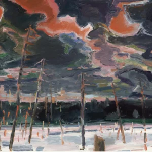 Winter Sky Over Wetlands, Eric Aho