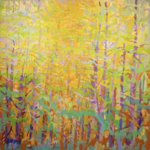 Sunshine, Ira Barkoff