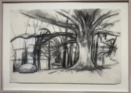 Missouri Oak, Ruth Miller
