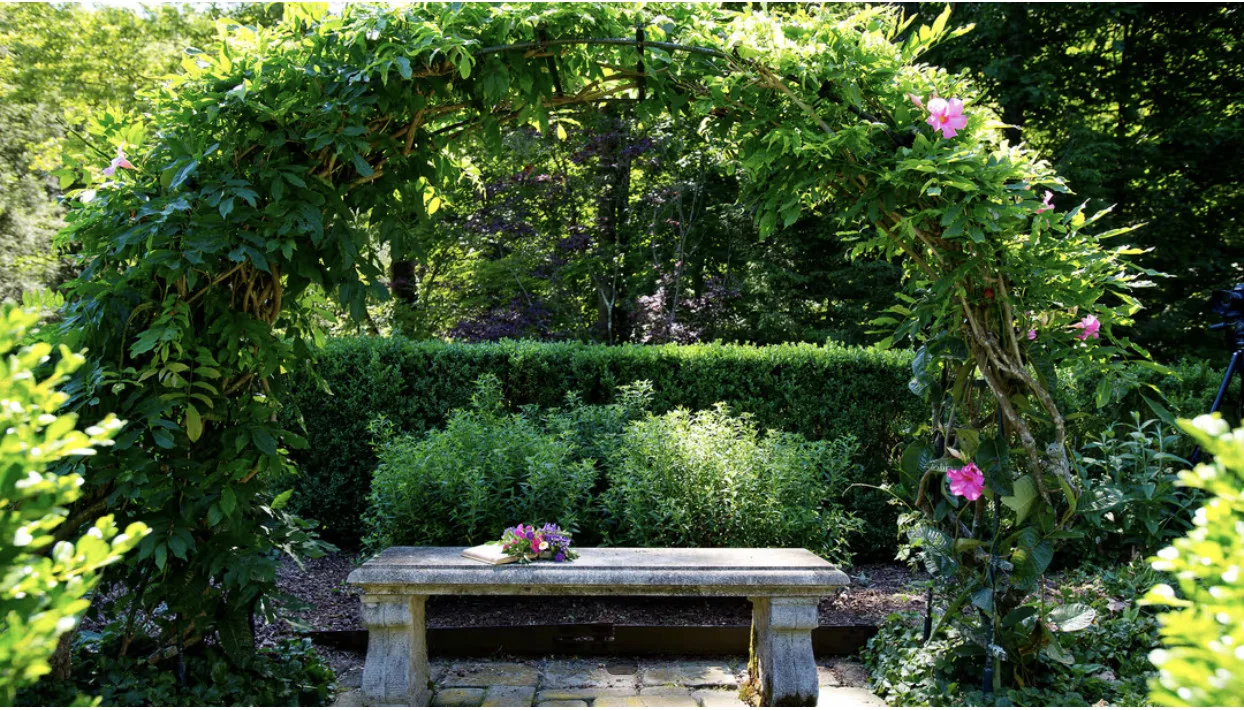 Drawing in the Garden with Pamela Sztybel (Saturday, Sep 6 | 10:30AM) - Image 2