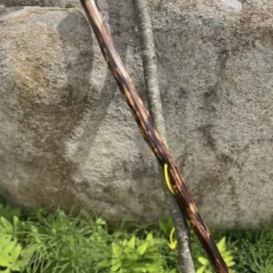 Introduction to Wood Carving: A Walking Stick Workshop with Leo Hein (Saturday, Dec 12 | 12:30 to 4:30 PM)