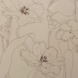 Drawing in the Garden with Pamela Sztybel (Saturday, Sep 6 | 10:30AM)