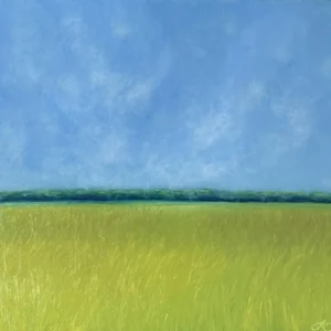 Fields of Gold by Leslie Landau