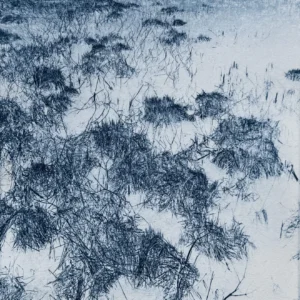 Night Marsh by Sally Frank
