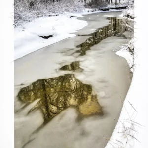 Perennial Stream by Joan Barker