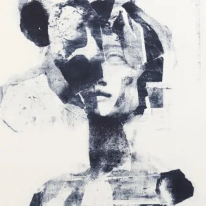 Centauride's Echo Revival II by Hans Neleman