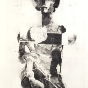 Centauride Eclipse (Encore) by Hans Neleman