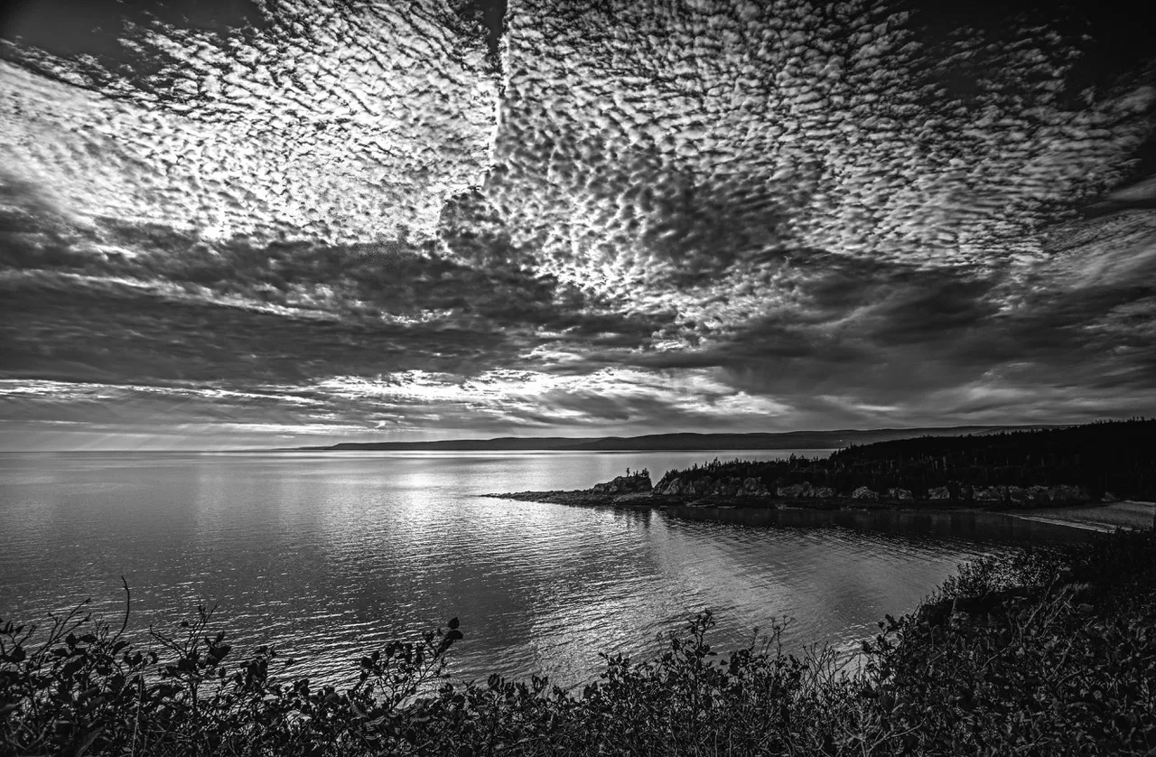 Cape Enrage by Jay Kaplan