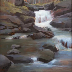 Woodland Falls by Bob Watkins